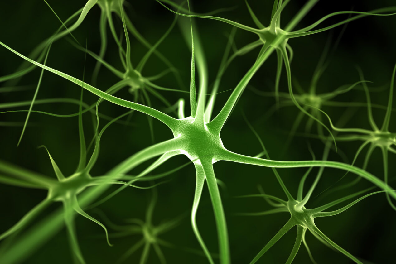 How Brand Associations Work as Memory Cues