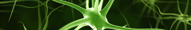 How Brand Associations Work as Memory Cues