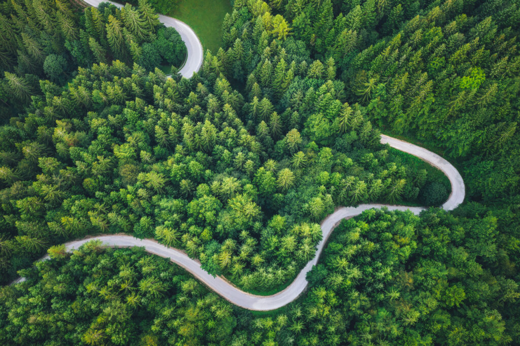 Winding road through forest trees to illustrate the importance of having a clear strategic path rooted in your brand strategy